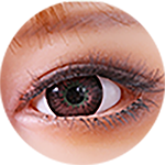 jia chen(Full silicone/real feel/standable/heatable/clamping function) - Dark Brown